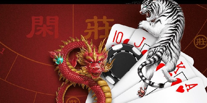 Cách chơi rồng hổ
