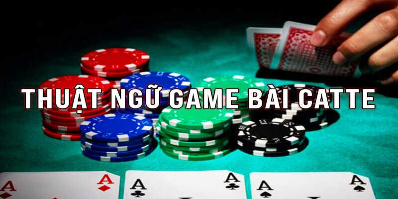 Luật chơi catte w388 và hướng dẫn đánh bài catte từ a đến z